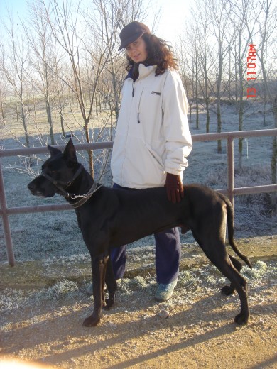 Hugo y yo dando un paseo con helada matinal